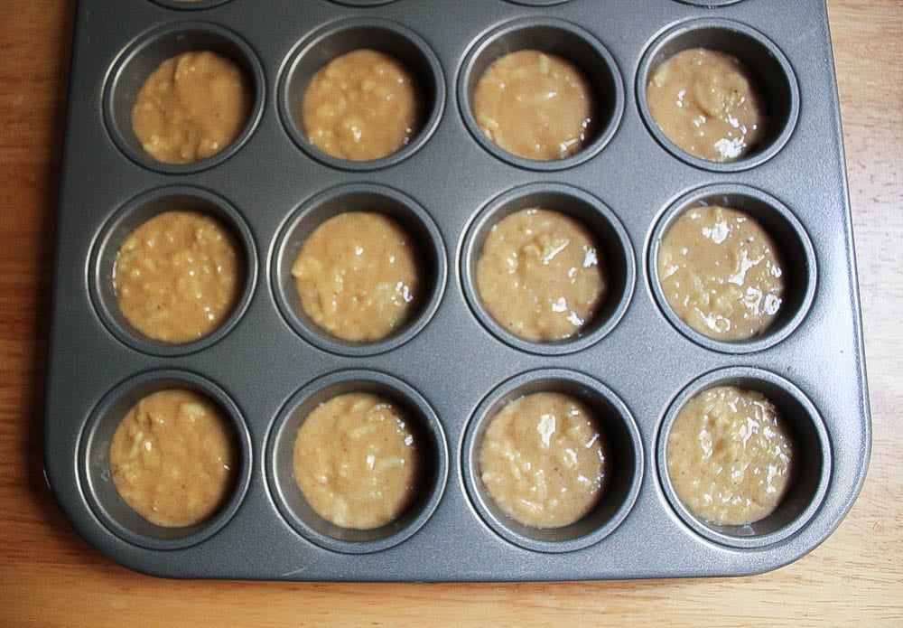 apple-cinnamon-baked-doughnut-holes-step-5-2