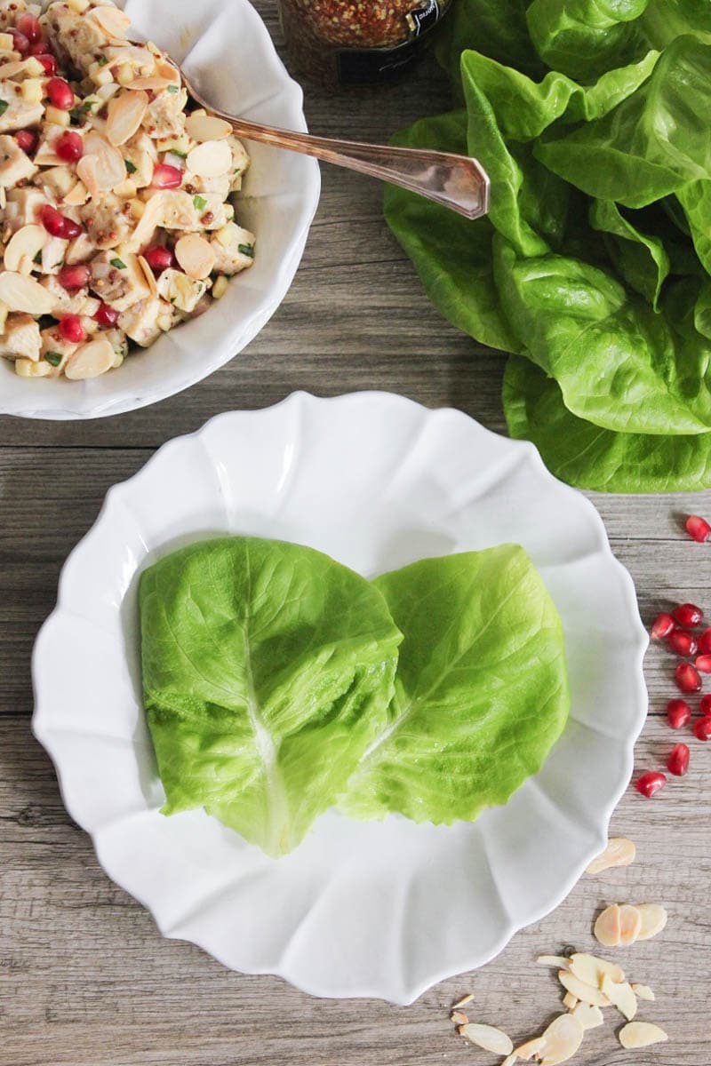 lemon-dijon-chicken-salad-with-pomegranate-apples-toasted-almonds-3