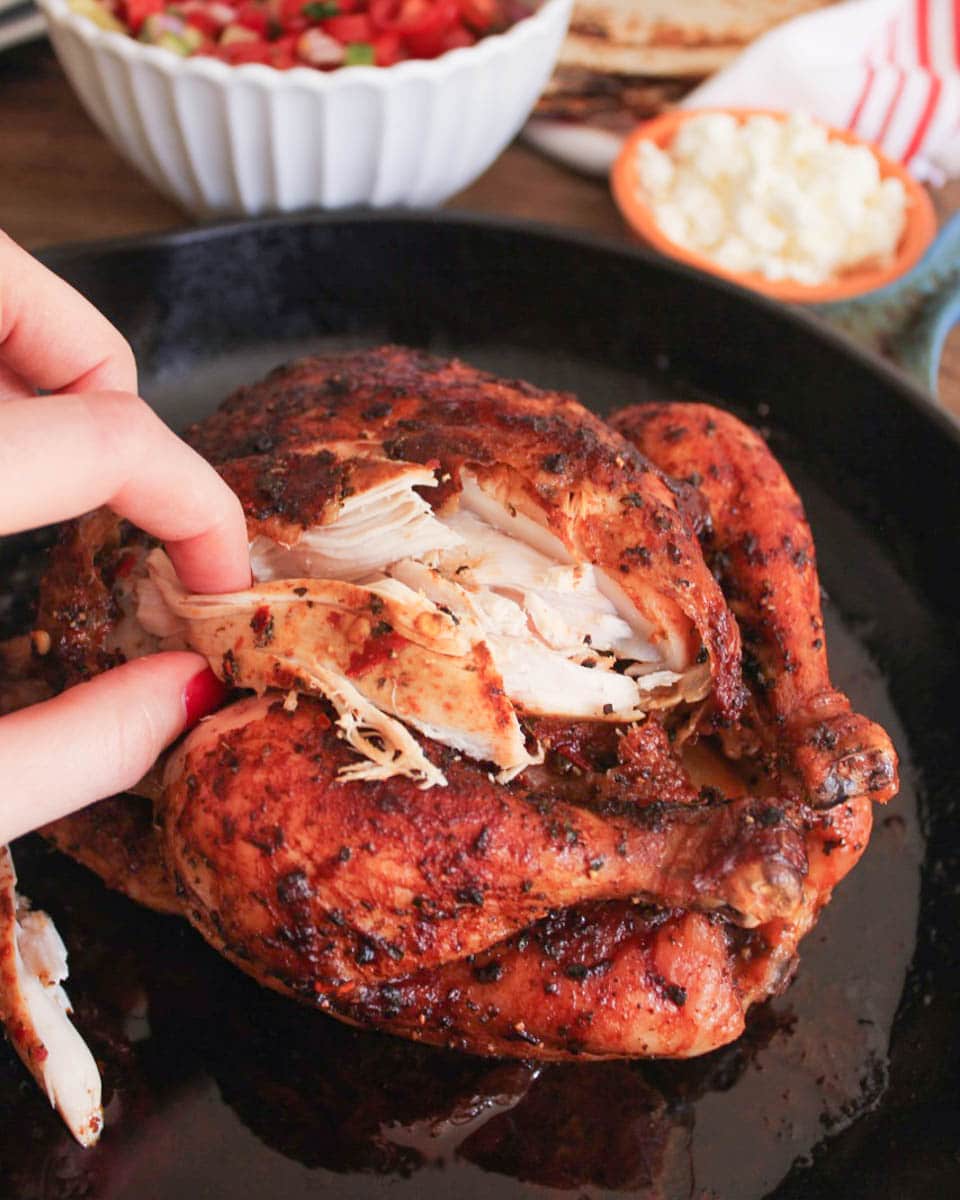 slow-roasted-chicken-tacos-with-mediterranean-salsa-yogurt-sauce-3