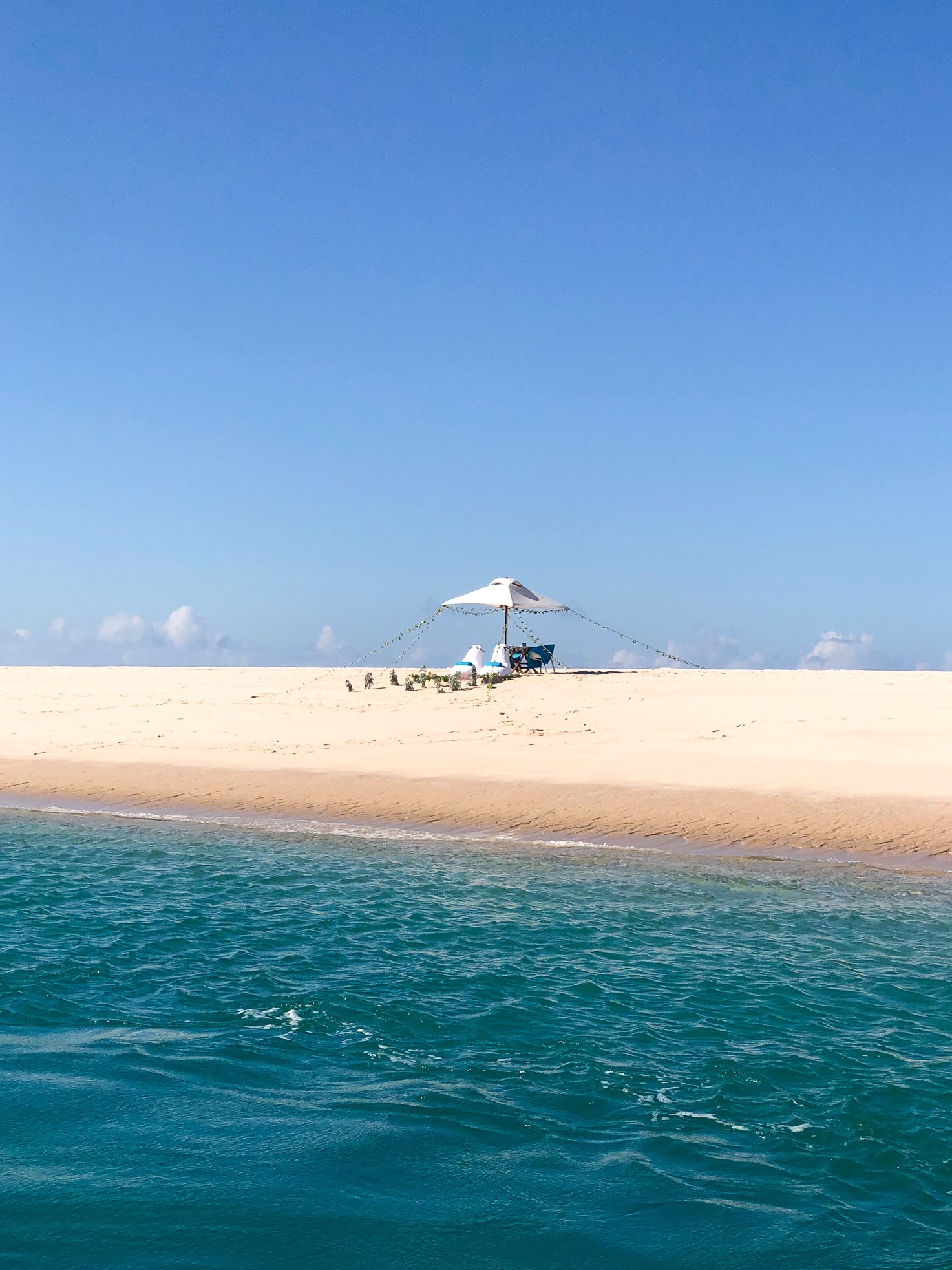 Safari Honeymoon- Mozambique